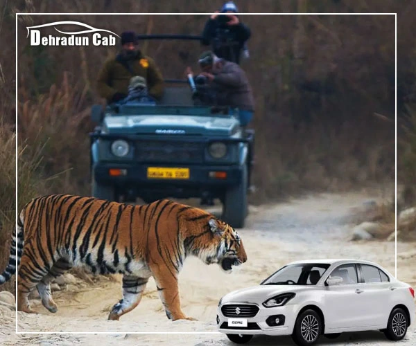 dehradun to Jim Corbett cab